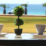 Am House * 尼亚·蒙达尼亚